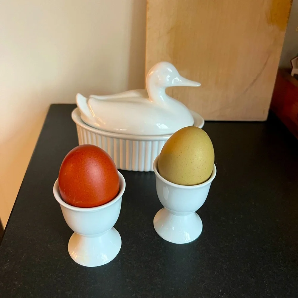 Crate & Barrel Small covered Serving White Porcelain Oval Duck Casserole Dish